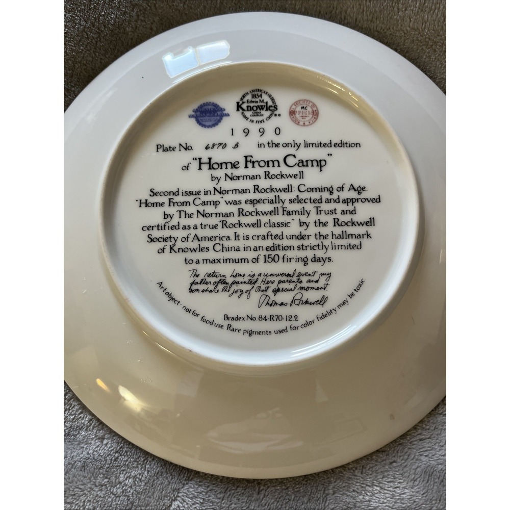 Norman Rockwell's limited-edition plate, 'Home From Camp.' - Picture 4 of 10